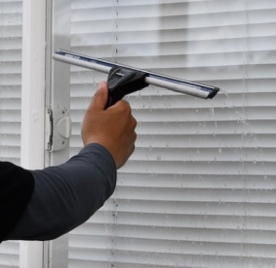 Expert Squeegee Window Cleaning